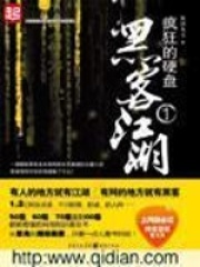 疯狂的硬盘在线阅读