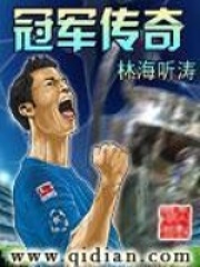 冠军传奇在线阅读