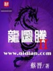 龙图腾II在线阅读