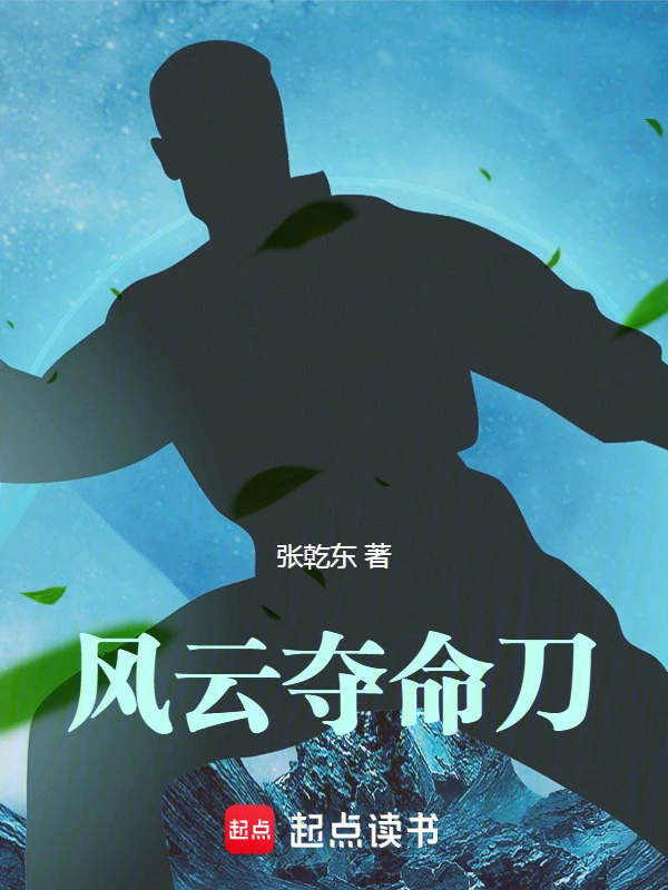 风云夺命刀
