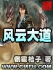 风云大道在线阅读