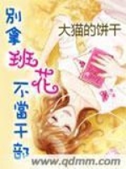 别拿班花不当干部在线阅读