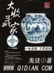 大收藏家在线阅读