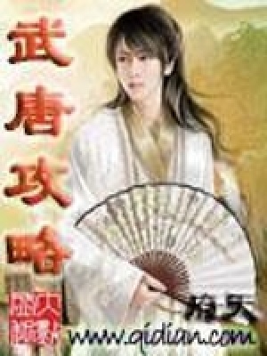 武唐攻略在线阅读