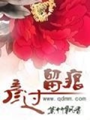 彦过留痕