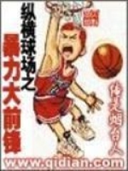 纵横球场之暴力大前锋在线阅读