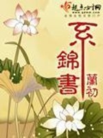 系锦书最新章节在线阅读