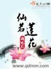 莲花照开