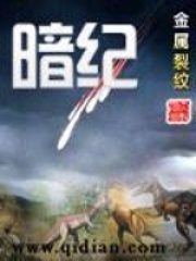暗纪在线阅读