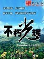 不朽光辉在线阅读
