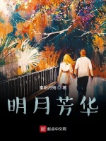 明月芳华在线阅读
