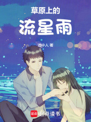 草原上的流星雨