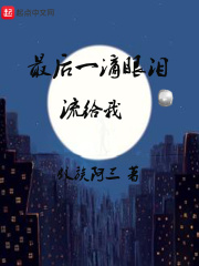 最后一滴眼泪流给我在线阅读