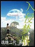 入侵梦界封面