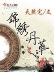 锦绣丹华在线阅读