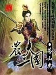 农夫三国在线阅读