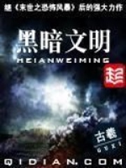 黑暗文明在线阅读
