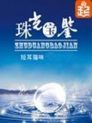 珠光宝鉴在线阅读