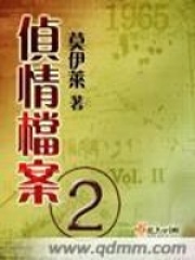 32d白色奶罩 秘史电子书封面