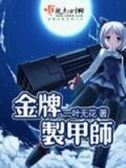 金牌制甲师在线阅读