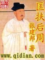 匡扶后周封面