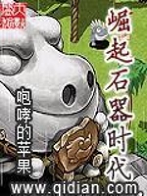 崛起石器时代封面
