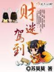 财迷驾到在线阅读