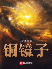 铜镜子在线阅读
