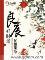 良辰好时景最新章节在线阅读