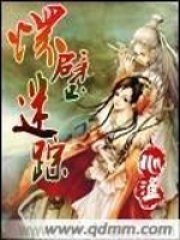 怀璧谜踪在线阅读