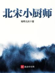 北宋小厨师在线阅读
