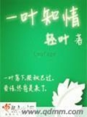 一叶知情