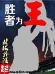 胜者为王在线阅读