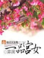 一品宫女在线阅读