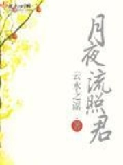月夜流照君在线阅读