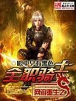 网游重生之全职骑士封面