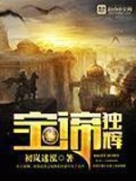 宝谛独辉在线阅读