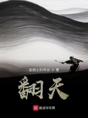 翻天在线阅读