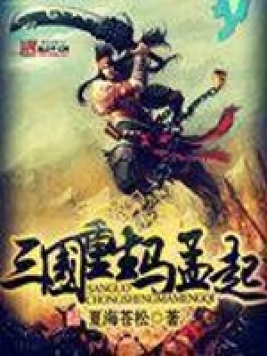 三国重生马孟起 夏海苍松著 秦汉三国小说 三国重生马孟起无弹窗 起点中文网