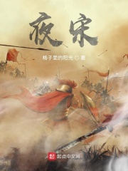 夜宋在线阅读