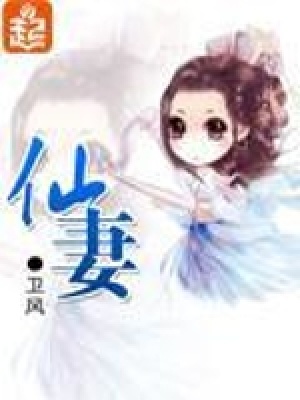 仙妻封面