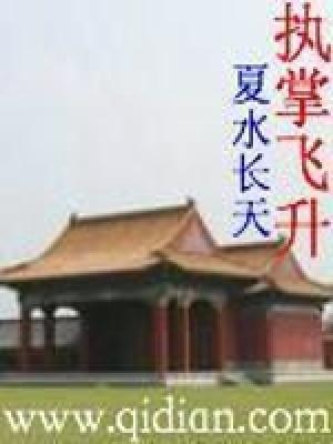 执掌飞升封面