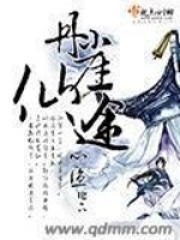 丹崖仙途在线阅读