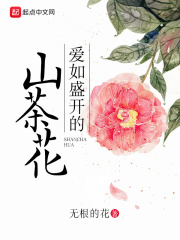 爱如盛开的山茶花在线阅读