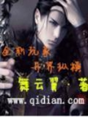全职玩家异界纵横封面