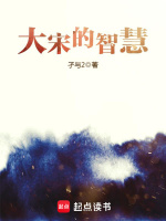 大宋的智慧封面