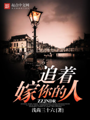 追着嫁你的人在线阅读
