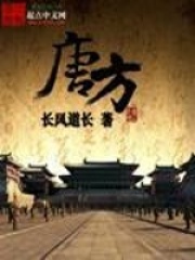 唐方在线阅读
