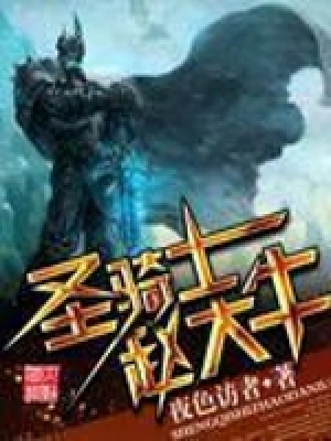 《圣骑士赵大牛》（校对全本）作者：夜色访者【EPUB+MOBI+TXT】