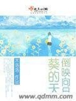 倒映向日葵的天在线阅读